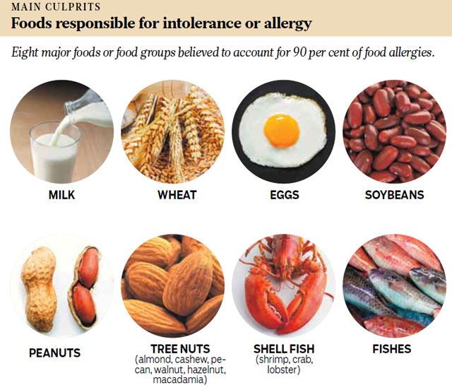 Diet Plan For Nut Allergy