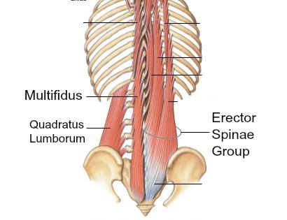 fixing anterior pelvic tilt 