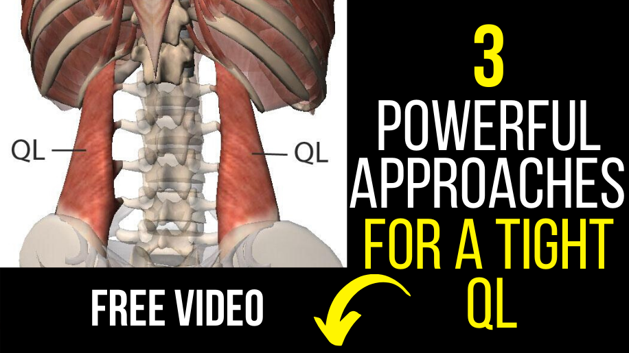 The Best Way to Stretch The Quadratus Lumborum (QL) - [2020] - Fitness 4  Back Pain