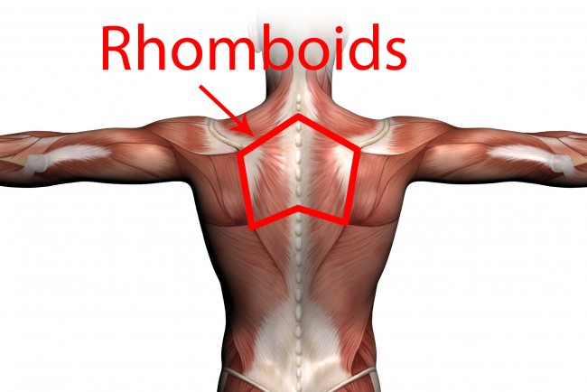 fixing rounded shoulders