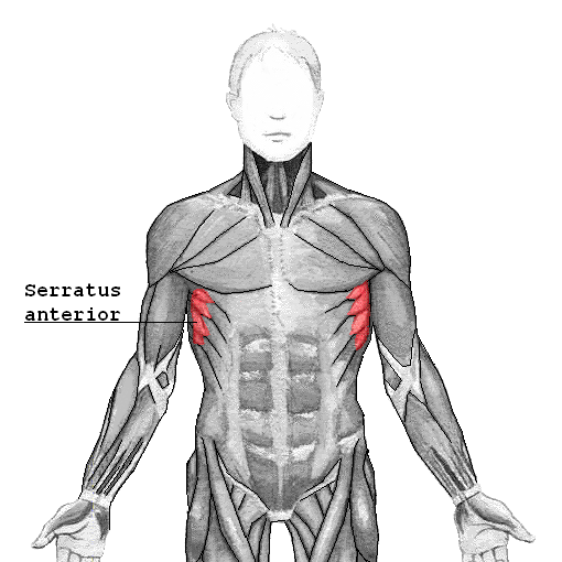 fixing rounded shoulders