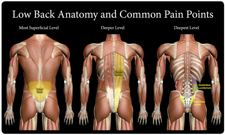 low back pain, QL stretch, Ql stretching, stretches for QL, quadratus lumborum trigger points