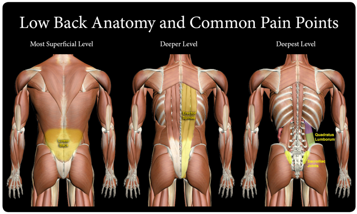 Very Tight Lower Back Muscles Off