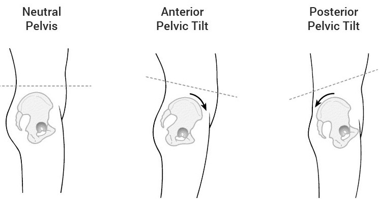 pelvic neutral exercises